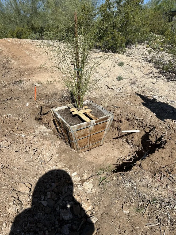 Custom residential landscaping in Mesa, AZ - Eddie's Landscaping