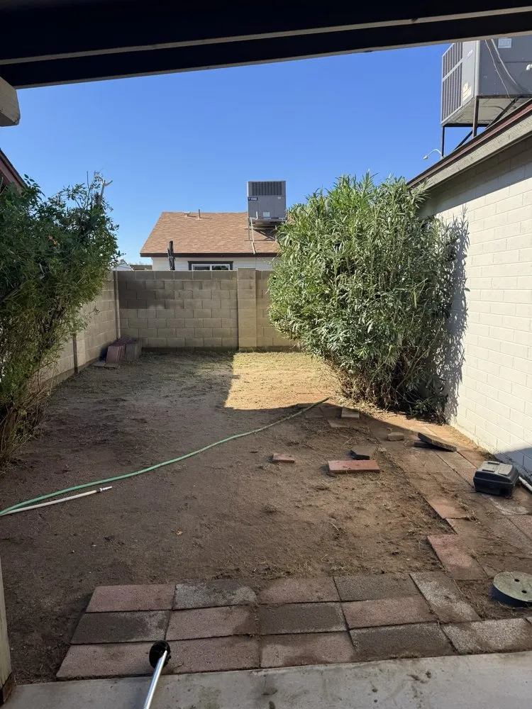 Custom yard cleanup service in Mesa, AZ by Eddie's Landscaping