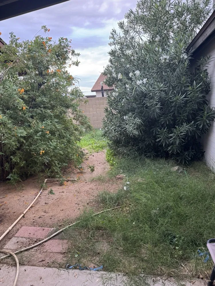 Custom landscape installation for outdoor upgrades in Mesa, AZ by Eddie's Landscaping