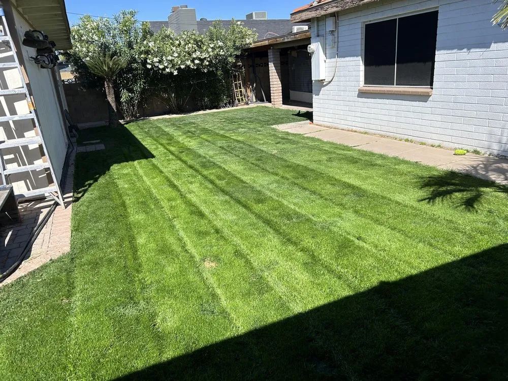 Local garden landscaping experts serving Mesa, AZ - Eddie's Landscaping