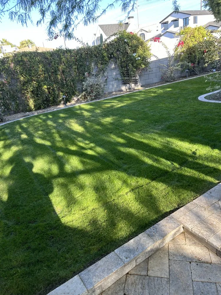 Top-rated residential landscaping in Mesa, AZ - Eddie's Landscaping