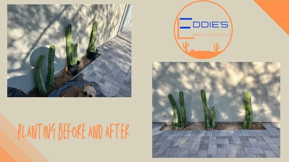 Trusted garden landscaping for outdoor upgrades across Mesa, AZ - Eddie's Landscaping