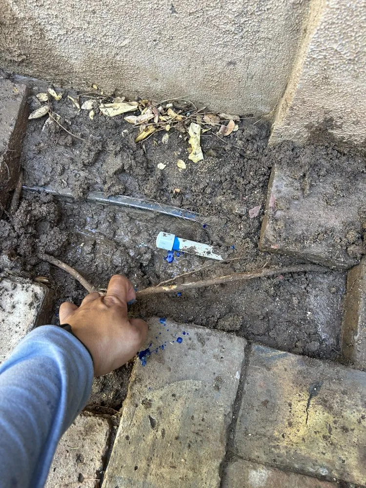 Top-rated outdoor landscaping in Mesa, AZ by Eddie's Landscaping