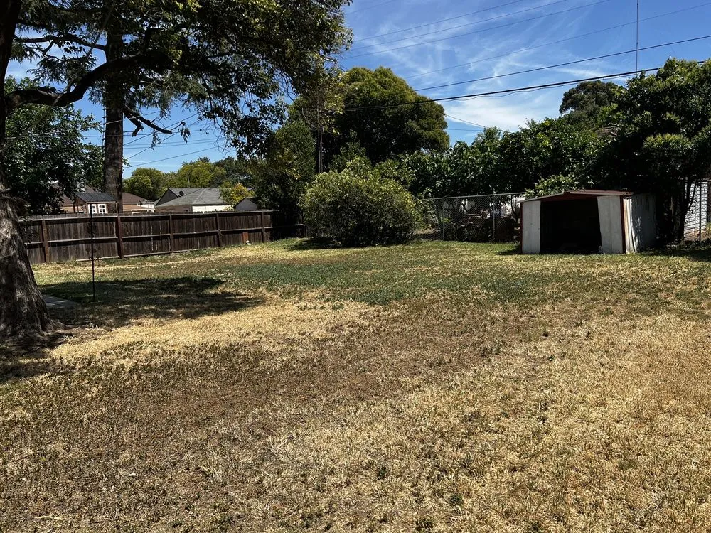 Expert yard cleanup service experts serving Stockton, CA - Eddie's Landscaping