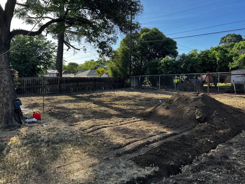 Affordable lawn care service experts serving Stockton, CA - Eddie's Landscaping