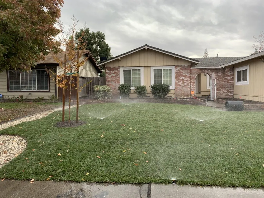 Local lawn care service for beautiful yards across Stockton, CA - Eddie's Landscaping
