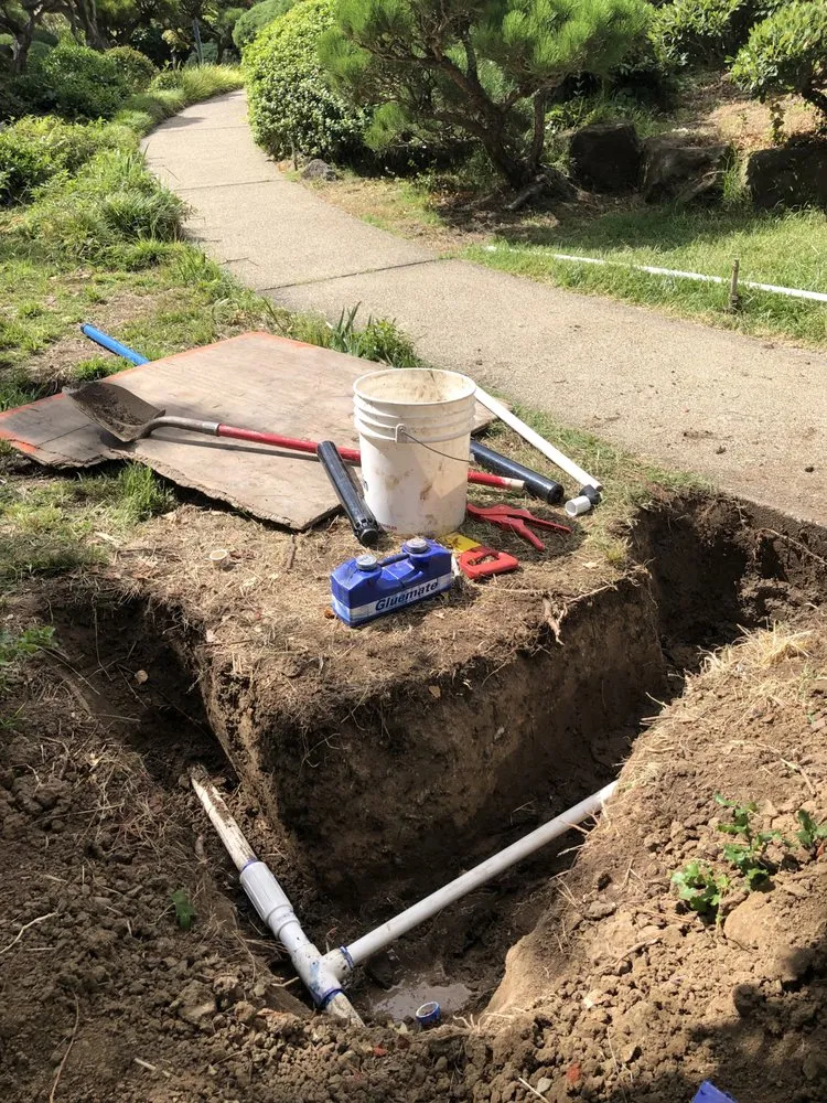 Affordable lawn care service near you across San Lorenzo, CA - Eddie’s Lanscape