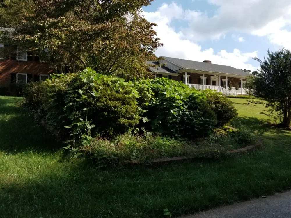 Affordable landscape installation for beautiful yards across Spartanburg, SC - Eddie's Lawn Care and Landscaping