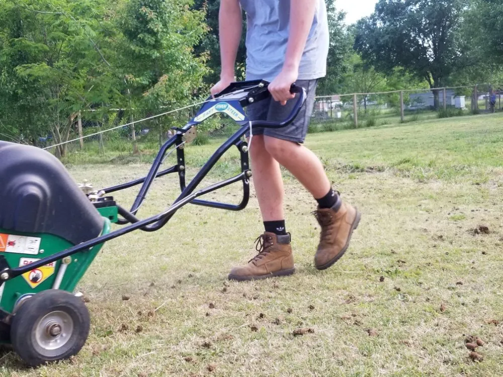 Professional landscape design for year-round maintenance in Spartanburg, SC by Eddie's Lawn Care and Landscaping