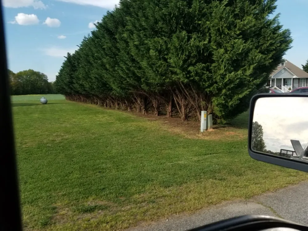 Expert yard maintenance experts serving Spartanburg, SC - Eddie's Lawn Care and Landscaping