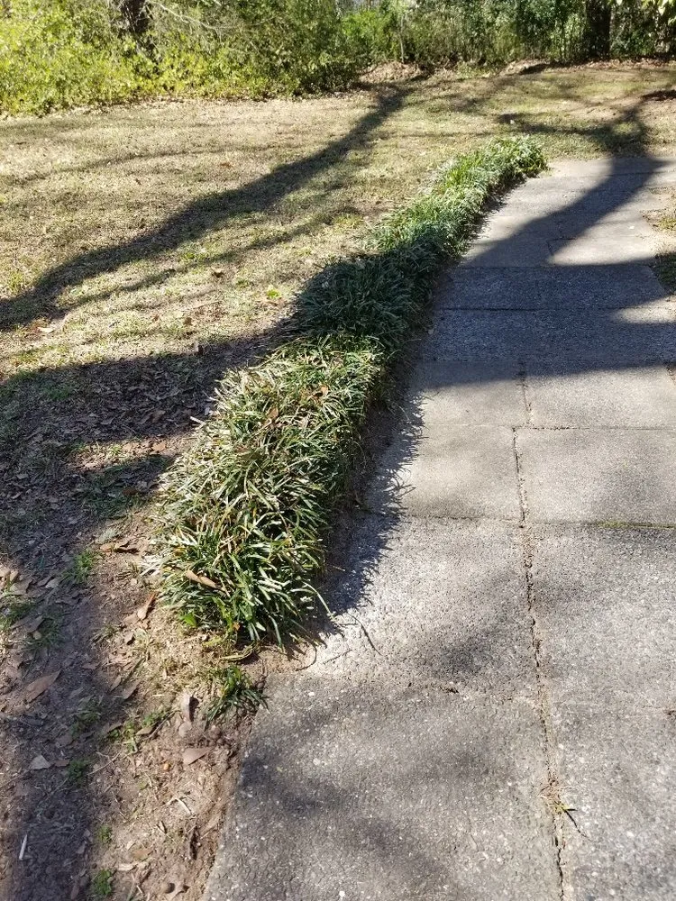 Local lawn mowing service experts serving Spartanburg, SC - Eddie's Lawn Care and Landscaping