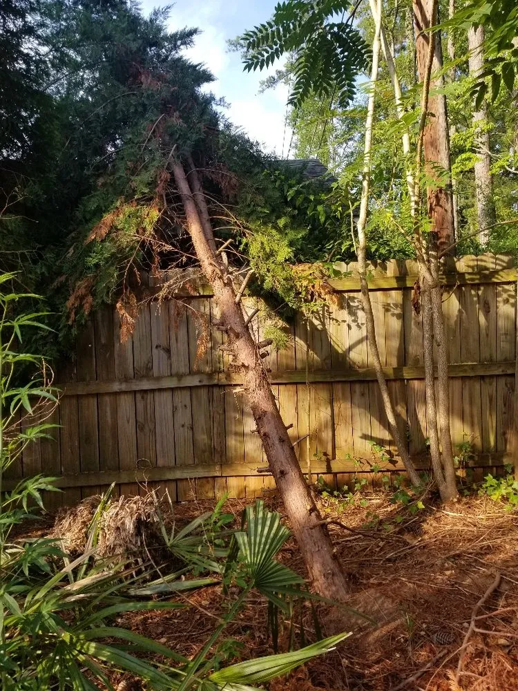 Top-rated garden landscaping for homes across Spartanburg, SC - Eddie's Lawn Care and Landscaping