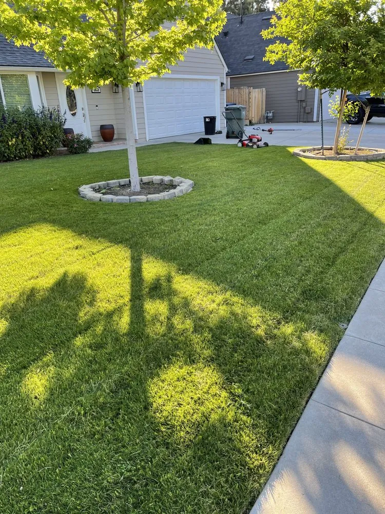 Trusted residential landscaping in Fresno, CA - Eddies Lawn Maintenance