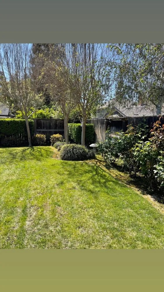 Professional garden landscaping for outdoor upgrades in Fresno, CA by Eddies Lawn Maintenance