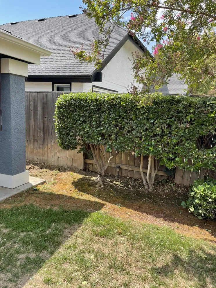Reliable outdoor landscaping near you in Fresno, CA by Eddies Lawn Maintenance