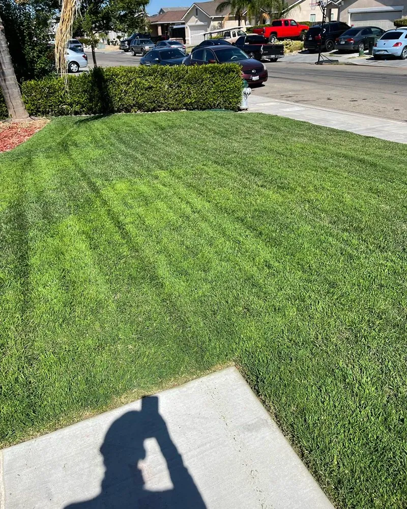 Local landscape installation in Fresno, CA - Eddies Lawn Maintenance