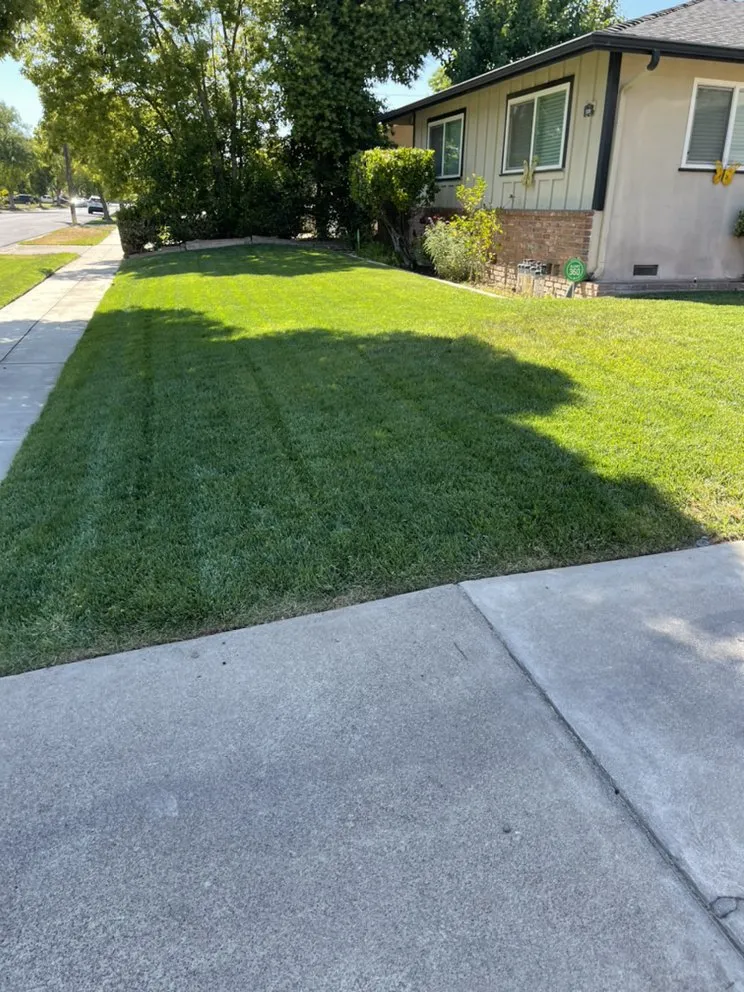 Custom outdoor landscaping in Fresno, CA - Eddies Lawn Maintenance