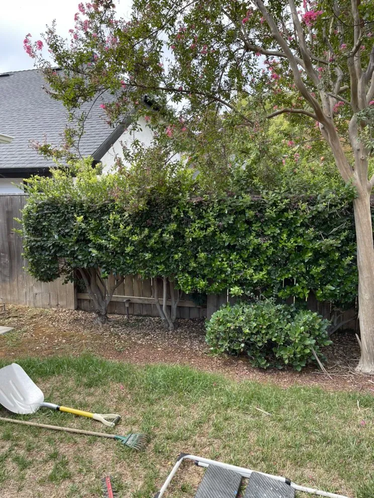 Trusted landscape design in Fresno, CA by Eddies Lawn Maintenance