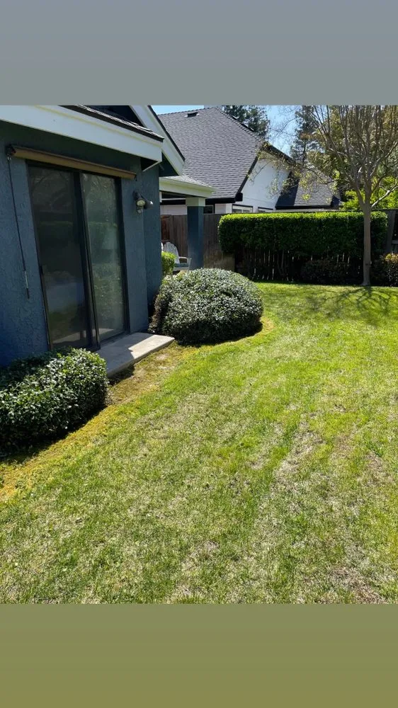 Custom residential landscaping experts serving Fresno, CA - Eddies Lawn Maintenance