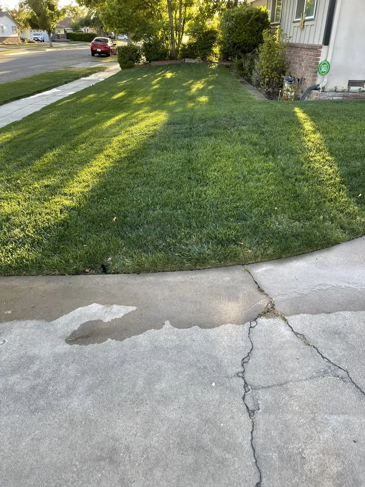 Top-rated residential landscaping near you in Fresno, CA by Eddies Lawn Maintenance