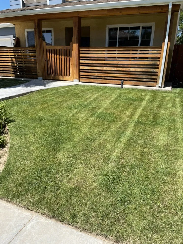 Top-rated lawn care service for beautiful yards across Fresno, CA - Eddies Lawn Maintenance