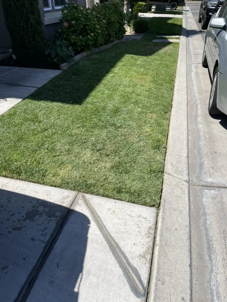 Custom yard maintenance for beautiful yards in Fresno, CA by Eddies Lawn Maintenance