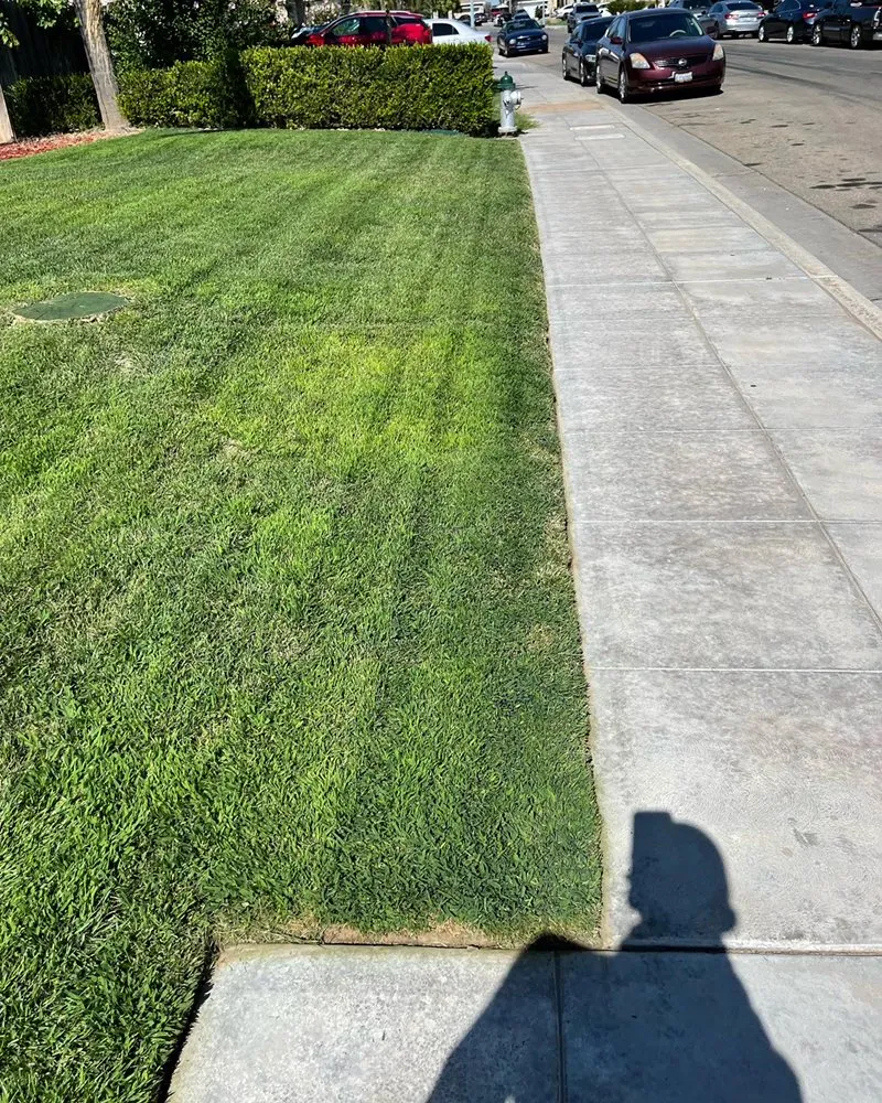 Expert residential landscaping in Fresno, CA by Eddies Lawn Maintenance