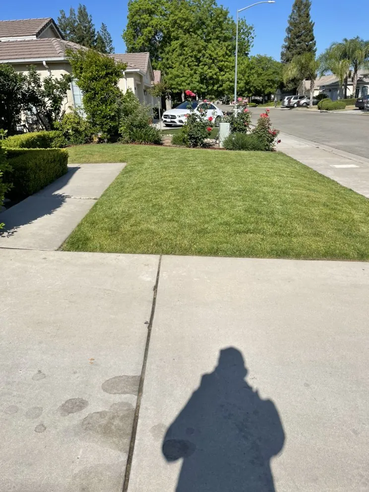 Expert yard cleanup service experts serving Fresno, CA - Eddies Lawn Maintenance