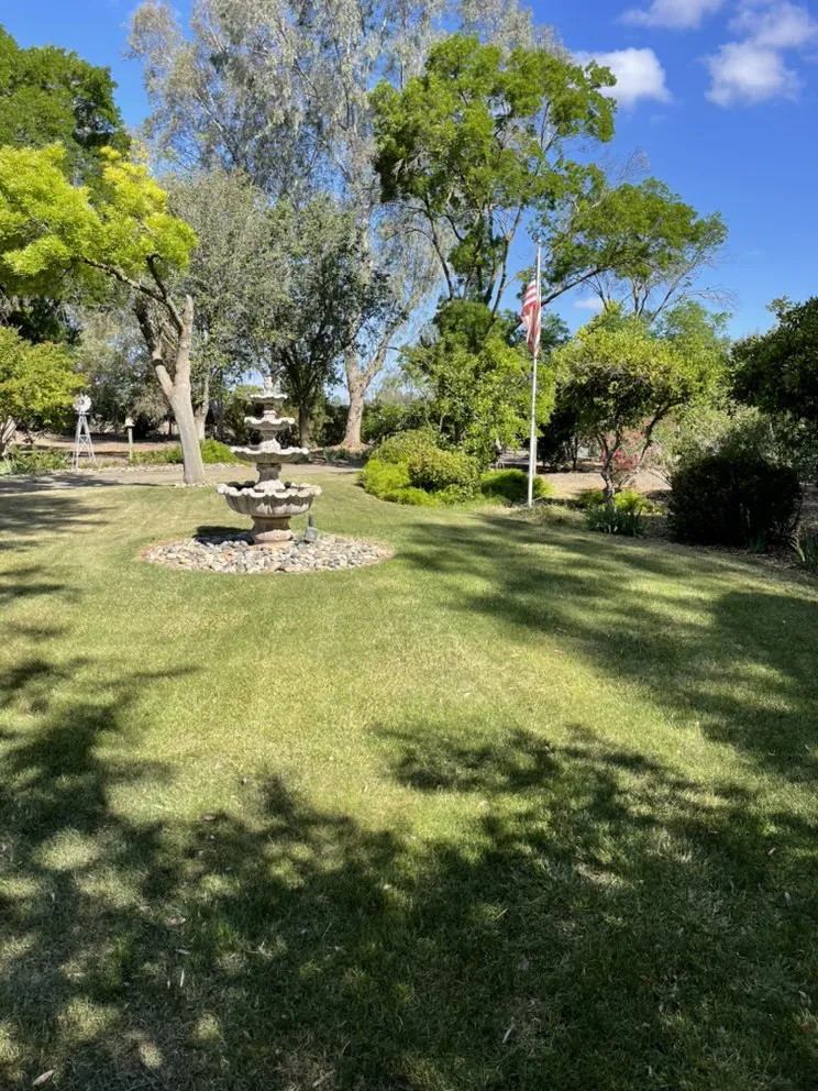 Trusted lawn care service in Fresno, CA by Eddies Lawn Maintenance