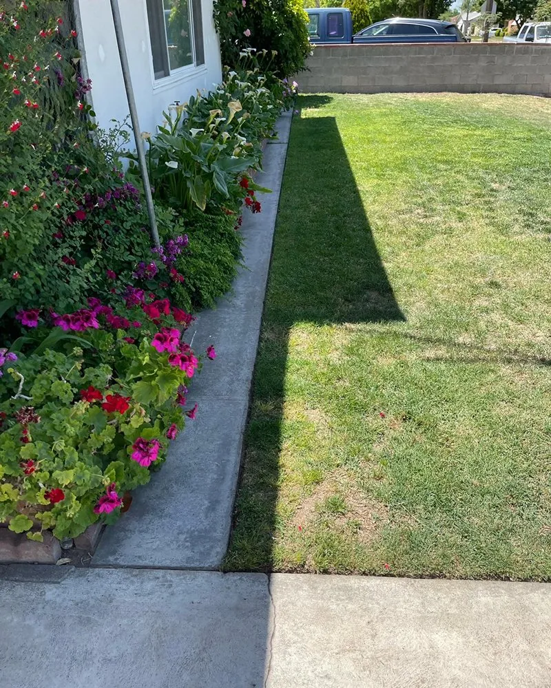 Professional landscaping services for homes across Fresno, CA - Eddies Lawn Maintenance