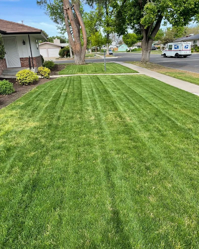 Affordable yard maintenance in Fresno, CA by Eddies Lawn Maintenance