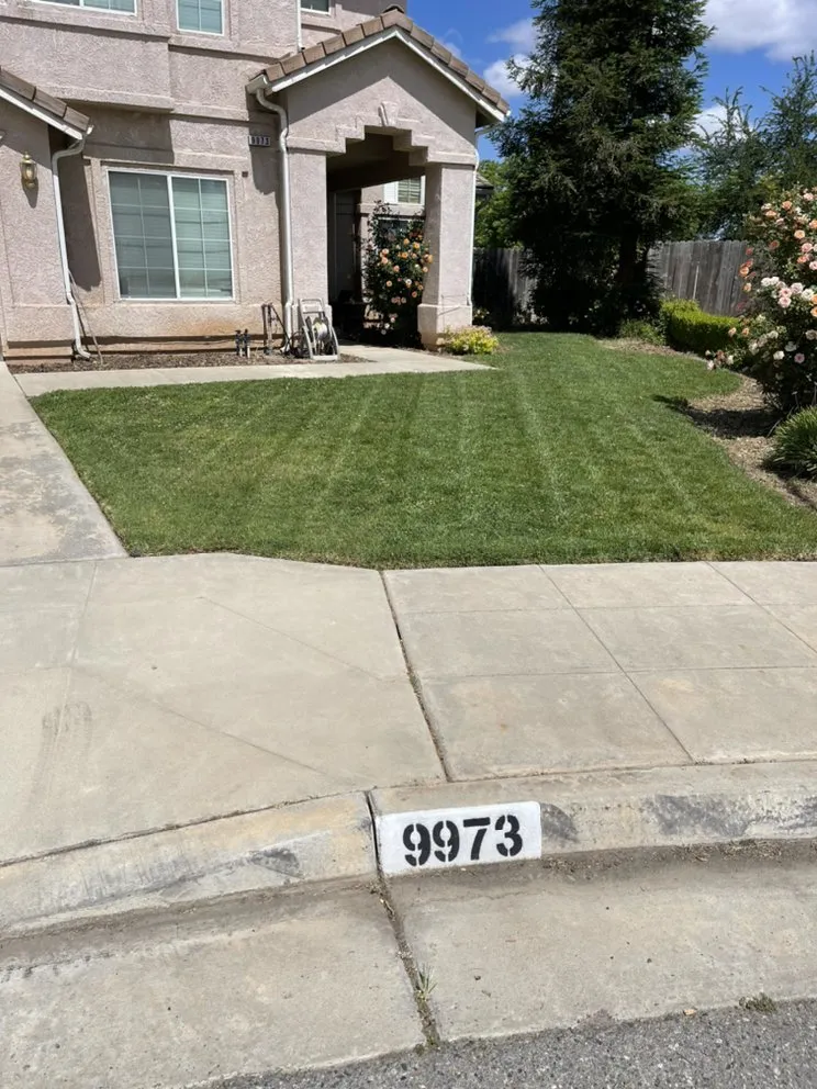 Professional landscape installation for homes in Fresno, CA by Eddies Lawn Maintenance