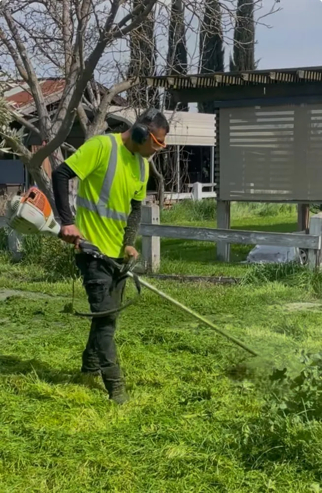 Local residential landscaping in Lodi, CA by Eddie's LawnCare & Maintenance