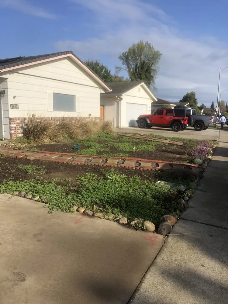 Top-rated garden landscaping in Lodi, CA by Eddie's LawnCare & Maintenance