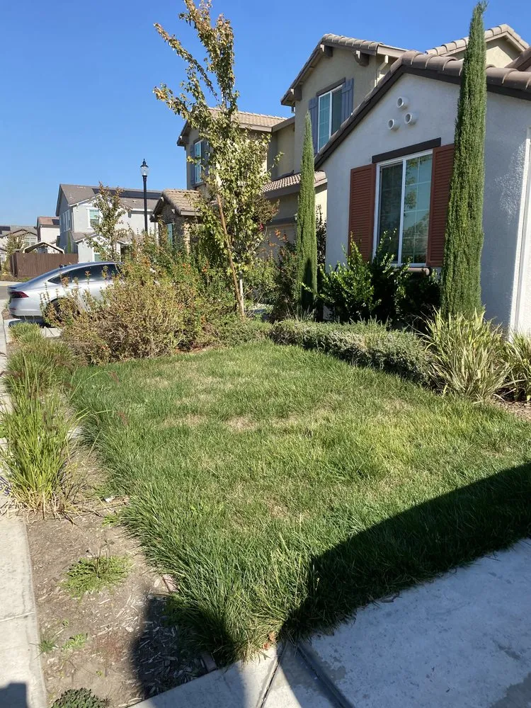Custom landscape design in Lodi, CA - Eddie's LawnCare & Maintenance