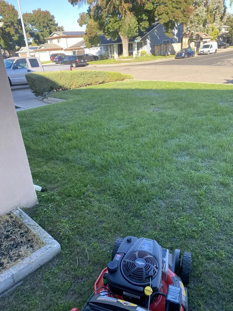 Trusted landscape design near you across Lodi, CA - Eddie's LawnCare & Maintenance