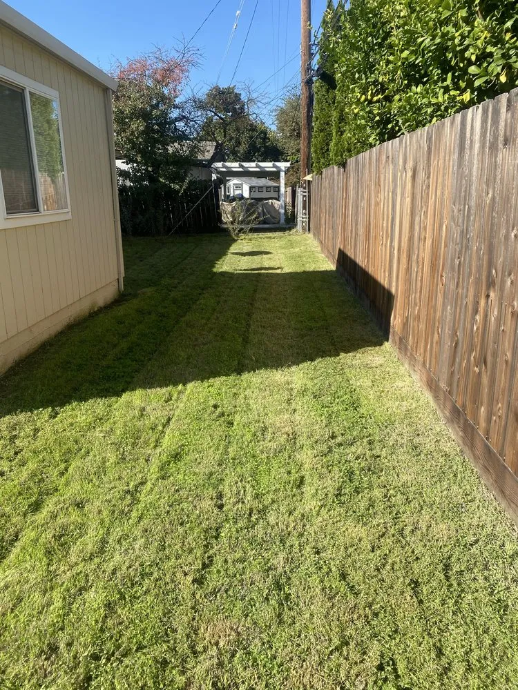 Custom landscape design in Lodi, CA - Eddie's LawnCare & Maintenance