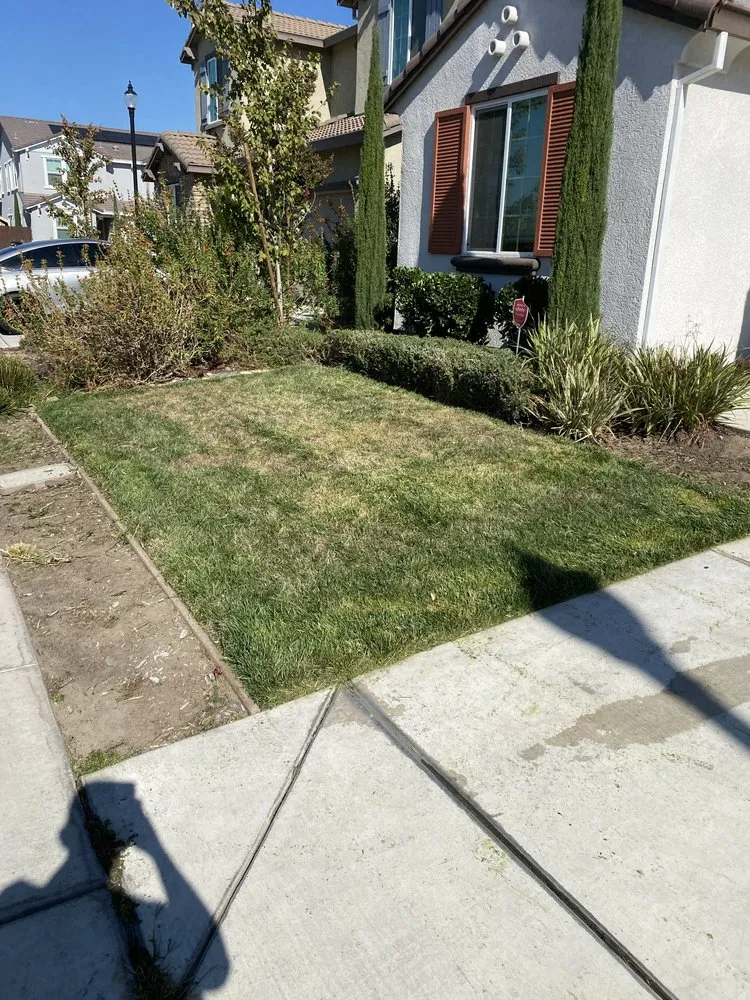 Affordable landscape installation in Lodi, CA - Eddie's LawnCare & Maintenance