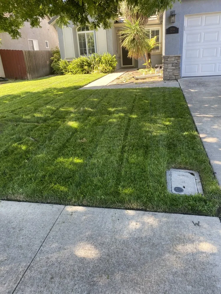 Expert landscape installation with custom design in Lodi, CA by Eddie's LawnCare & Maintenance