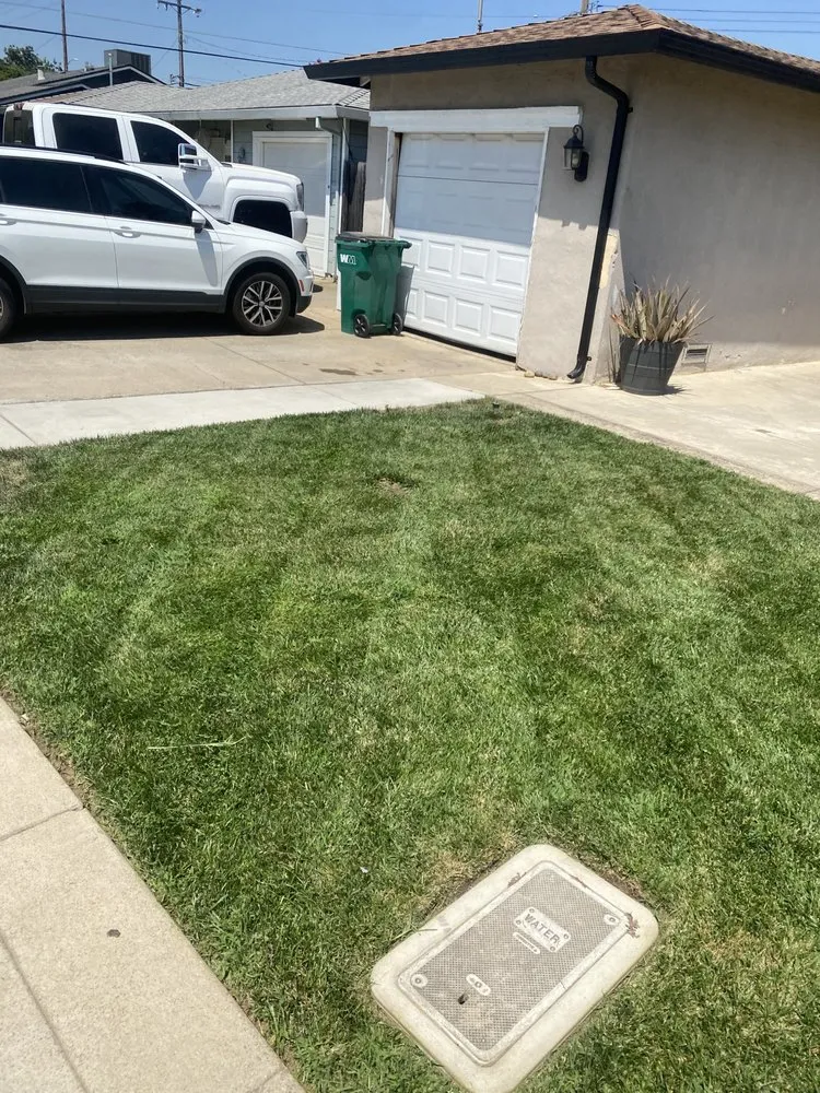 Top-rated yard maintenance in Lodi, CA by Eddie's LawnCare & Maintenance