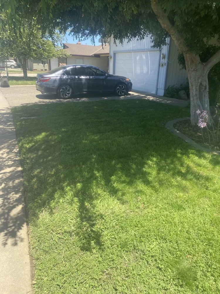Trusted yard cleanup service in Lodi, CA by Eddie's LawnCare & Maintenance