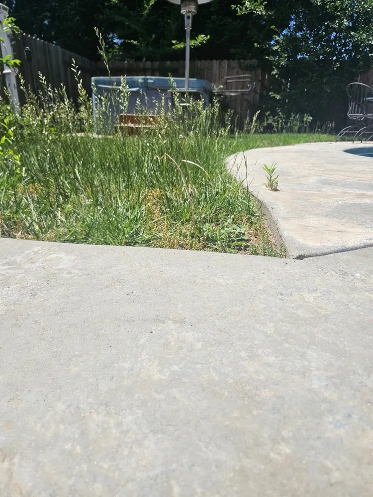 Professional landscape design in Lodi, CA by Eddie's LawnCare & Maintenance