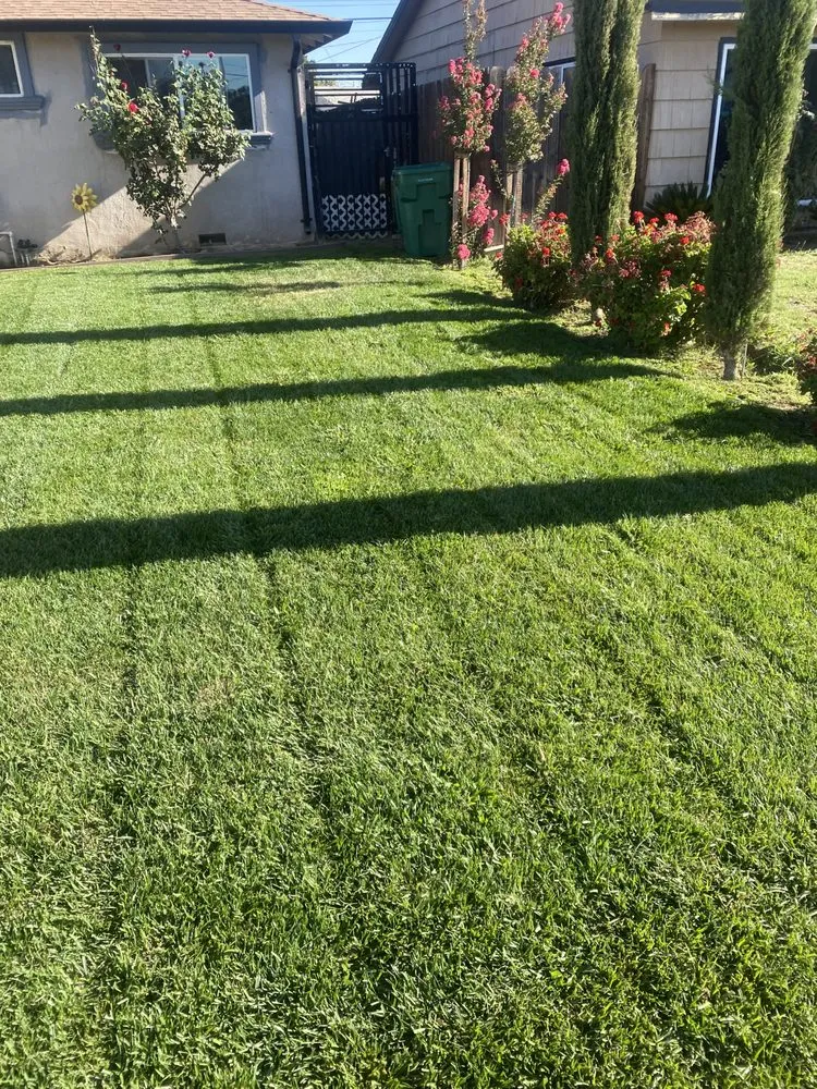 Top-rated yard cleanup service in Lodi, CA - Eddie's LawnCare & Maintenance