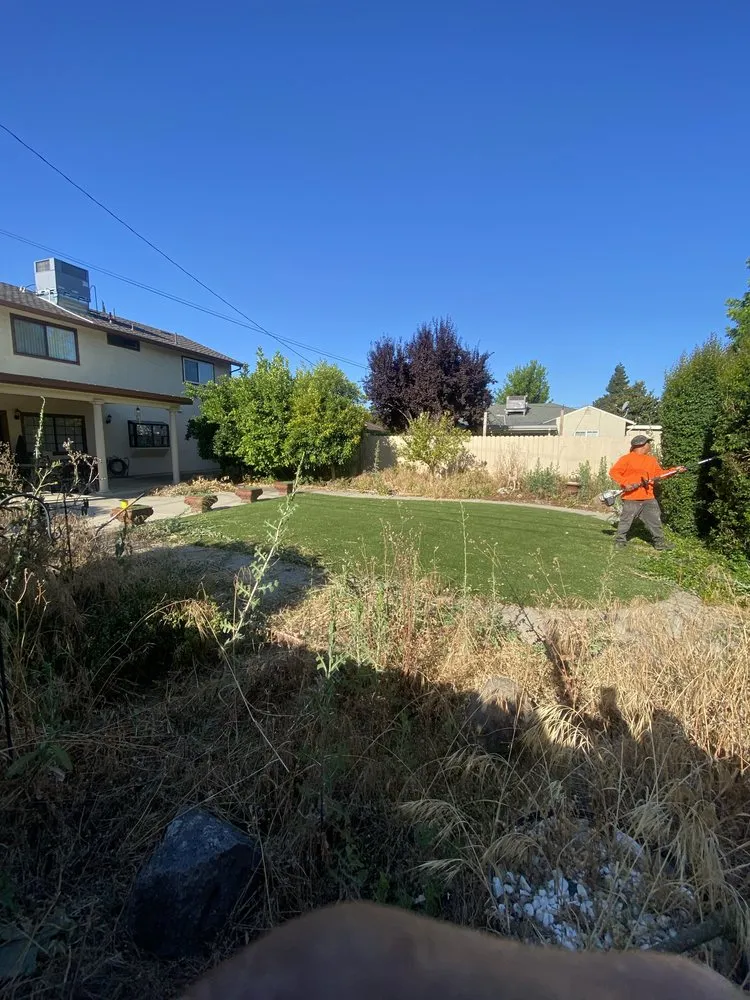 Top-rated lawn care service for outdoor upgrades in Lodi, CA by Eddie's LawnCare & Maintenance