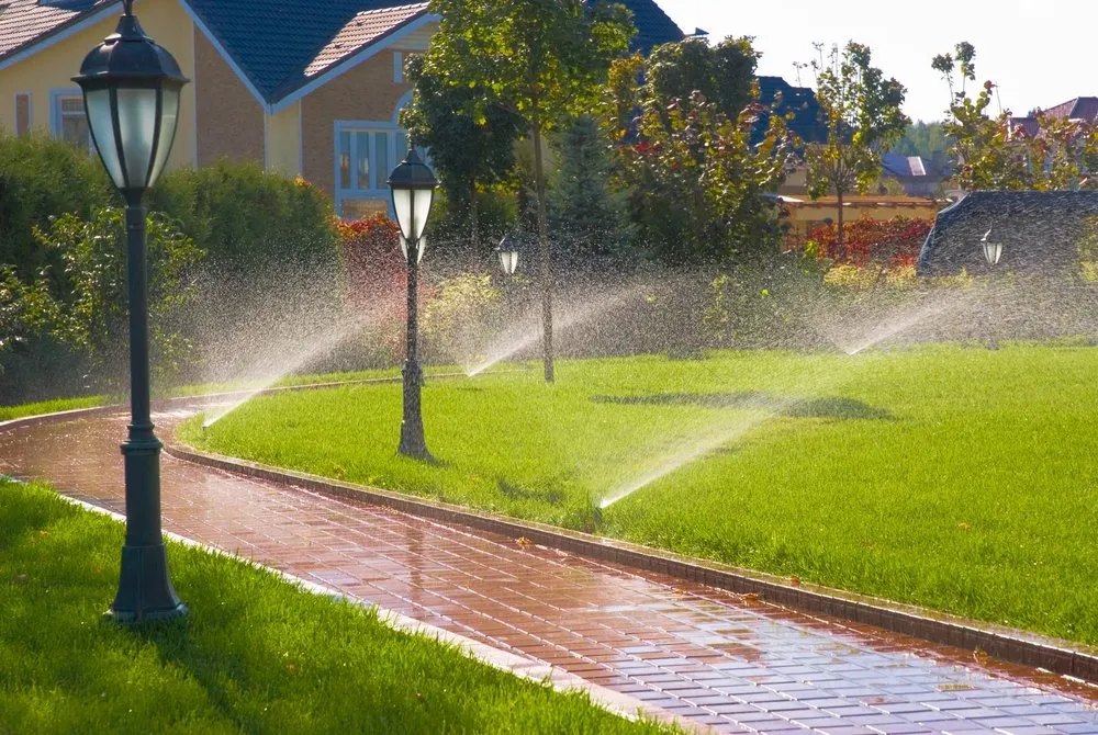 Expert landscape installation for outdoor upgrades across Lodi, CA - Eddie's LawnCare & Maintenance