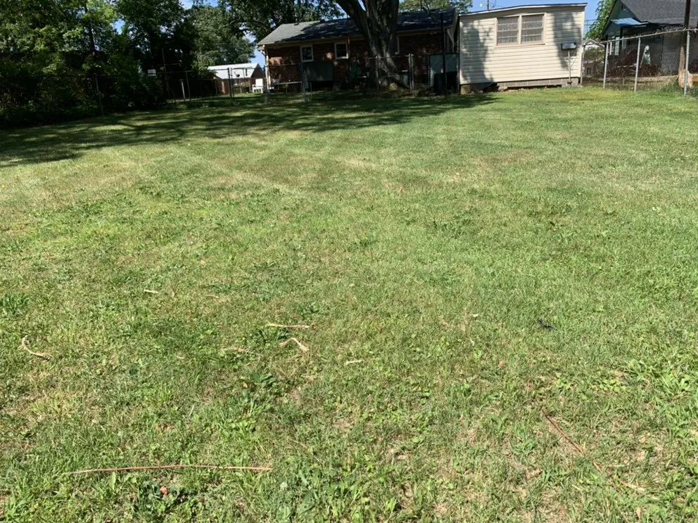 Expert landscape installation in Greenville, SC - Eddie’s Lawncare & Pressure Washing