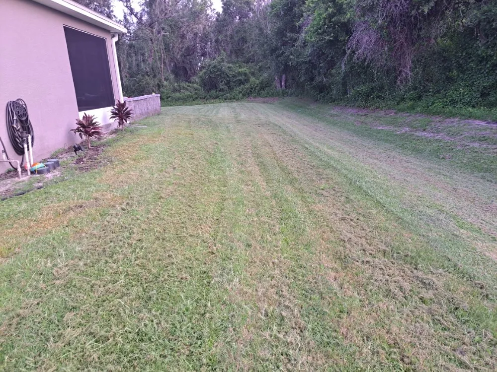 Top-rated yard maintenance for year-round maintenance in Lakeland, FL by Eddie's Lawns Care & Landscaping Services