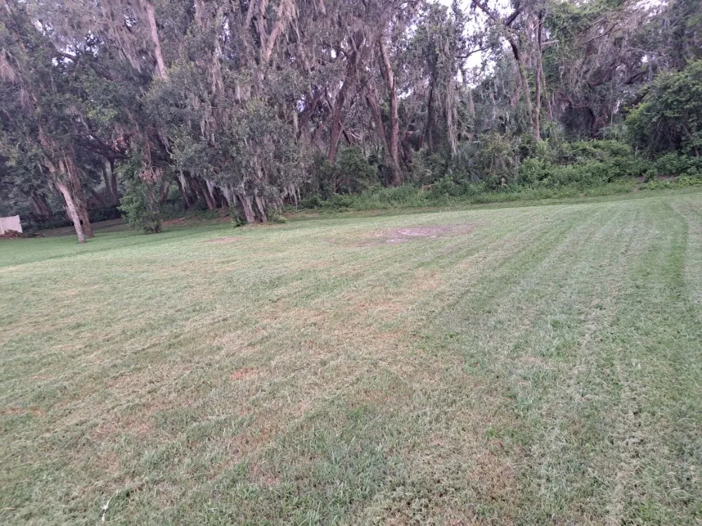 Custom landscape installation near you across Lakeland, FL - Eddie's Lawns Care & Landscaping Services