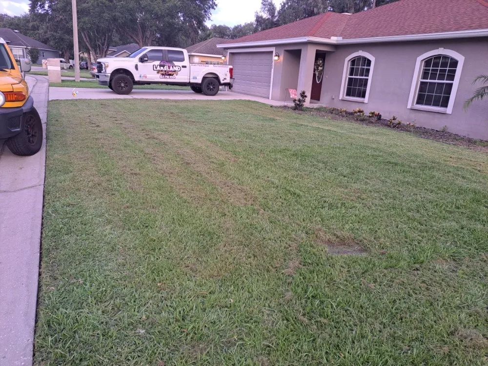 Trusted yard cleanup service for year-round maintenance across Lakeland, FL - Eddie's Lawns Care & Landscaping Services