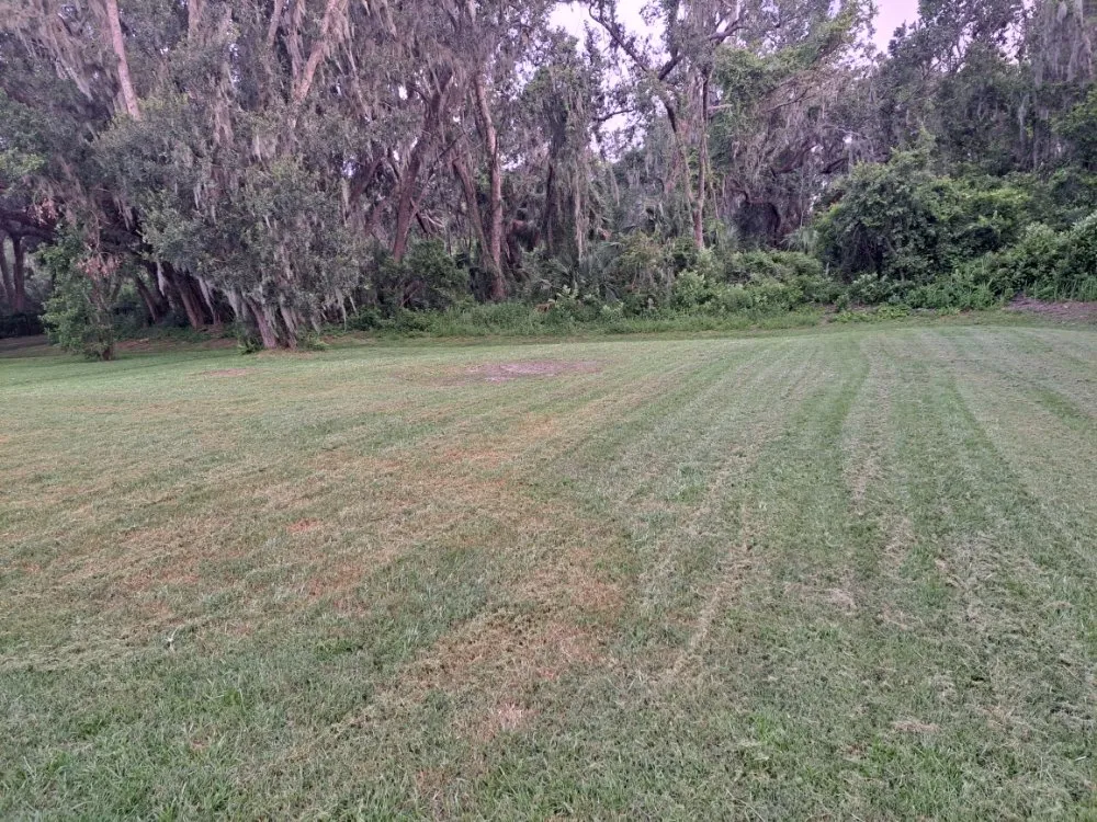 Reliable garden landscaping for year-round maintenance in Lakeland, FL by Eddie's Lawns Care & Landscaping Services